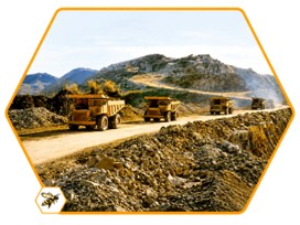 Operational Segment